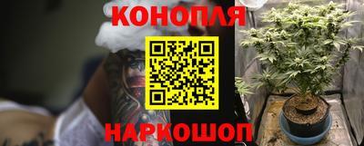 ешки Дубна