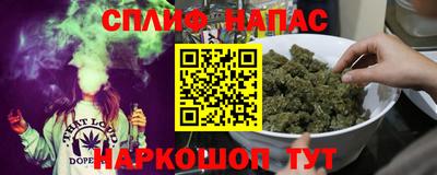 ешки Дубна
