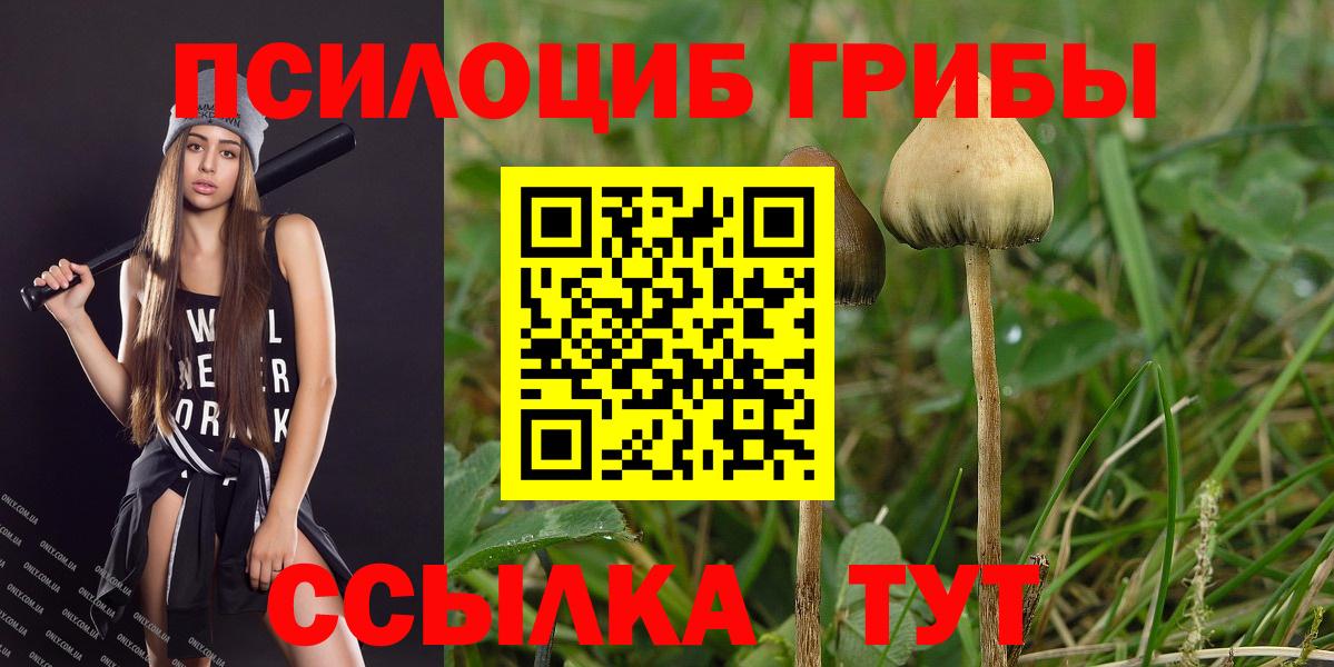 Ликино-Дулёво  Псилоцибиновые грибы Cubensis  Псилоцибиновые грибы Cubensis  Вход с VPN 